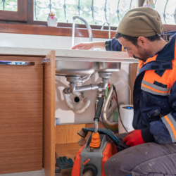 Design sem nome (62)